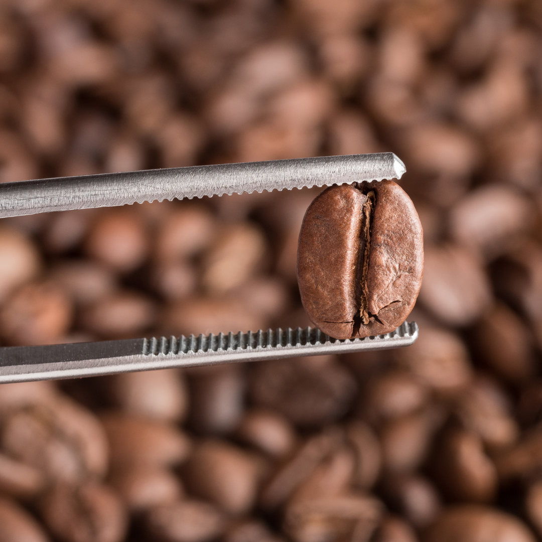 Comodato de máquina de café com leite em pó integral – Zily
