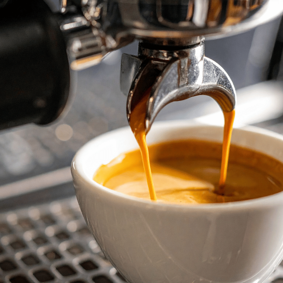 MÁQUINA DE CAFÉ PARA ALUGUEL